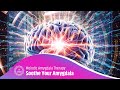 Soothe &amp; Strengthen Your Amygdala: Melodic Amygdala Therapy: Ease Anxiety, Suppress Fear Response