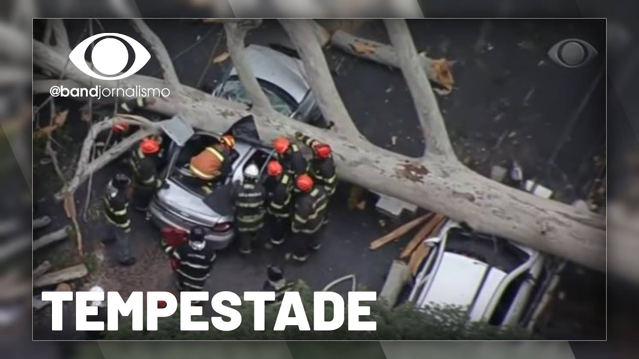 Chuva em SP: temporal derruba árvores e faz vítima fatal