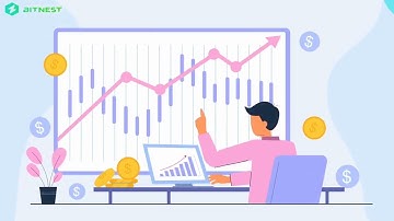 Video chi tiết về Vòng lặp BitNest và Hộp tiết kiệm. This video of BitNest Loop and Saving Box.