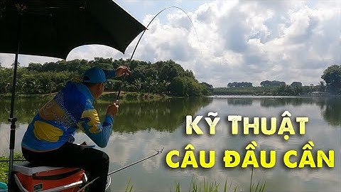 Câu Đài | KỸ THUẬT CÂU ĐẦU CẦN