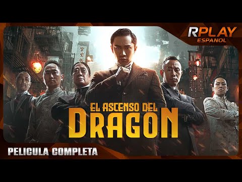 El Ascenso Del Dragón Acción Pelicula Completa Español Latino