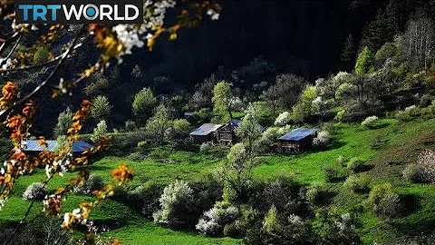 Economists, ecologists team up to put a price tag on nature | Money Talks