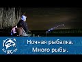 Ночная рыбалка на фидер.  Река Маныч.  Real Big Fish.