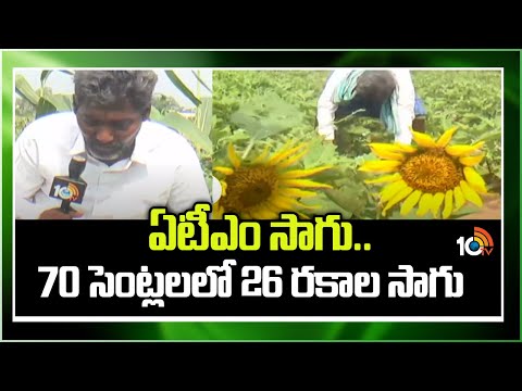 ఏటీఎం సాగు..70 సెంట్లలలో 26 రకాల సాగు | Matti Manishi | 10TV