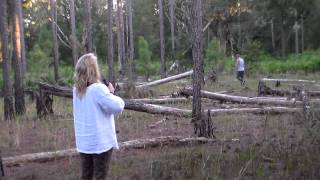 Green Swamp Bigfoot sighting area explored