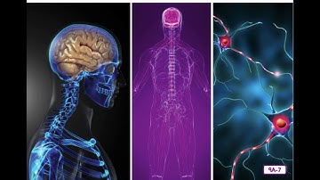 Listening and Learning Unit 3: A Clean Bill of Health