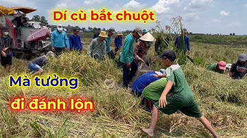 ĐI BẮT CHUỘT MÀ TÔI TƯỞNG ĐI TẤU HÀI XEM CƯỜI BỂ BỤNG Tuấn Thái Trị