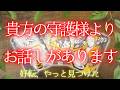 【復活・再生・大逆転】あなたを守っている存在がいま伝えようとしてること🐦‍🔥［タロット・ルノルマン・オラクル・３択カード占い］
