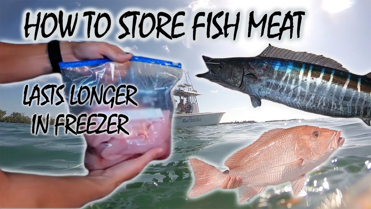 Best Way to Freeze Fish Fillets so it Taste Fresh YouTube