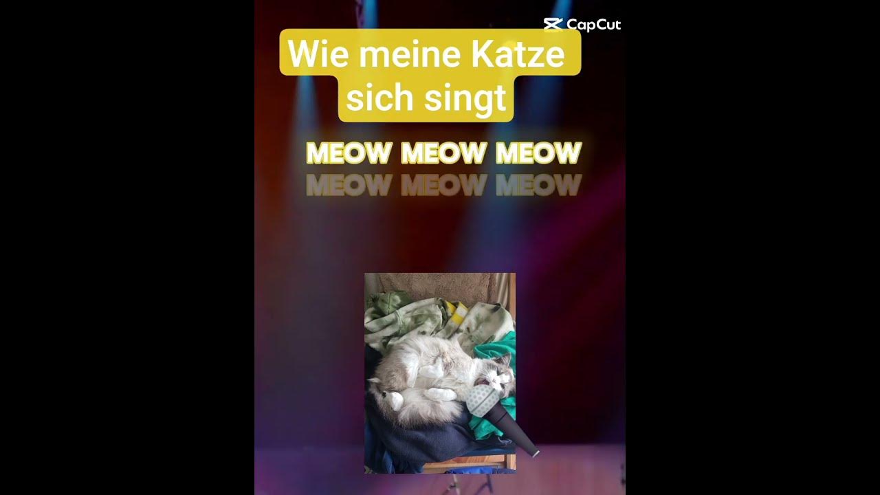 Wie meine Katze singt - YouTube