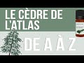 Huiles essentielles  la dcouverte du cdre de latlas 