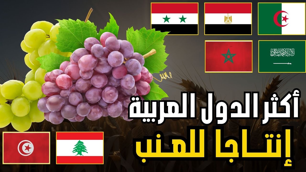 🍇 من يتصدر إنتاج العنب عربيا ؟ | ترتيب الدول العربية حسب إنتاج العنب(الفاو 2026)