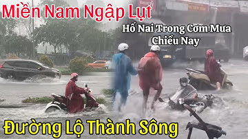 Nhiều Tỉnh Thành Của Miền Tây Chìm Trong Biển Nước Do Mưa Lũ Và Triều Cường Dâng Cao|Đỗ Hoài Thương