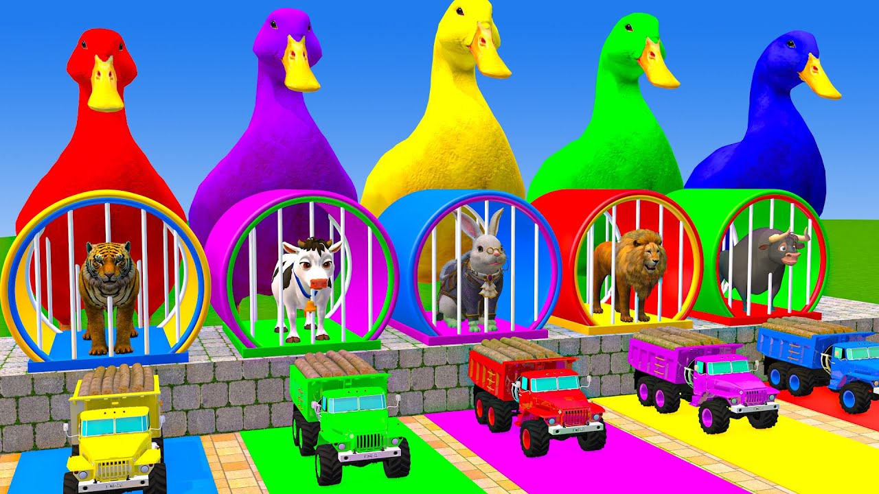 Long Slide Game With Cow Elephant Gorilla Hippopotamus Tiger 3d Animal Game Funny 3d Animals