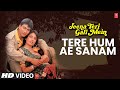 Tere hum ae sanam  song  jeena teri gali mein  kumar sanu anuradha paudwal  suraj kavita