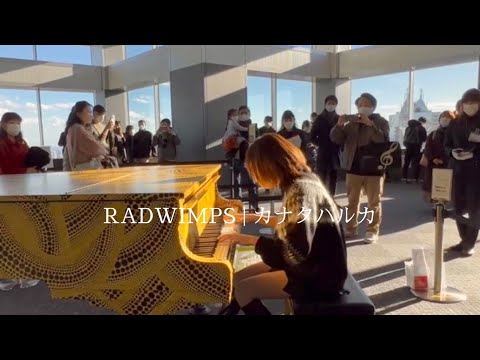 「カナタハルカ」RADWIMPS - すずめの戸締まり 主題歌 【都庁ピアノ】