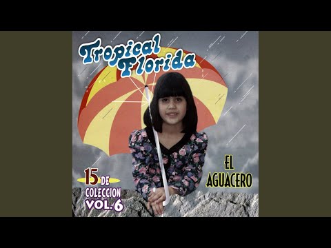 04 agujetas de color de rosa