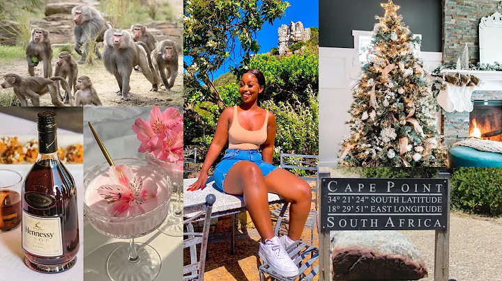 Vlog 2022 | Christmas Shopping Vlog | Cape Point | Cape Town South Africa