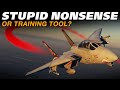 STUPID NONSENSE Or Useful Training Tool? | DCS F-14B Tomcat Dogfighting!