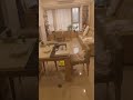 Ferrari RC car drifting through indoor obstacle madness while naked lightweight FPV drone prototype