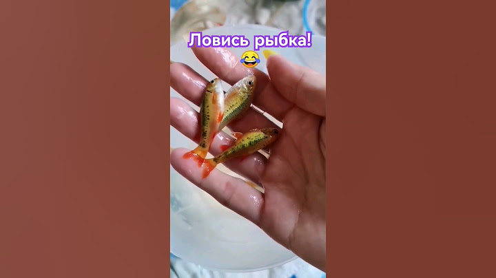 Ловлю рыбу руками!😮 Шустрые барбусы!🤗👍 #аквариум #рыбки #барбусы #аквариумныерыбки #shorts