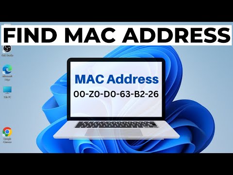 How to Find MAC Address on Windows 11