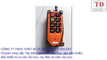 Tay bam dieu khien, tay bấm điều khiển cầu trục, tay bấm điều khiển palang, tay dieu khien palang
