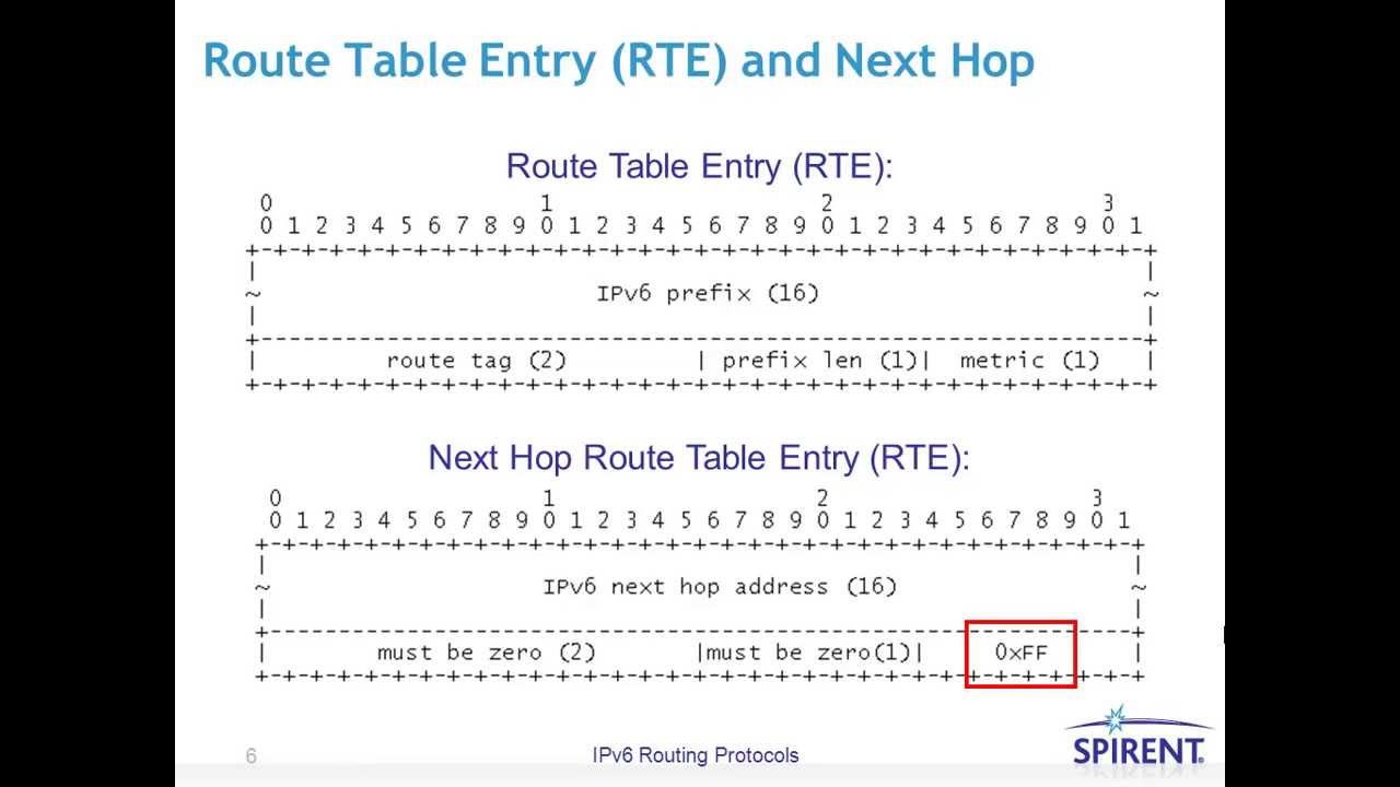 Spirent IPv6 Routing Protocols
