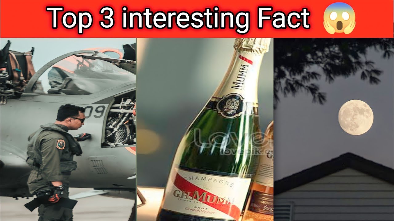 Top 3 interesting fact / Facto Mayank #shorts #facts