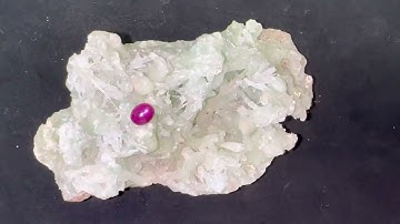 Melogems | Natural Star Ruby From Luc Yen Vietnam