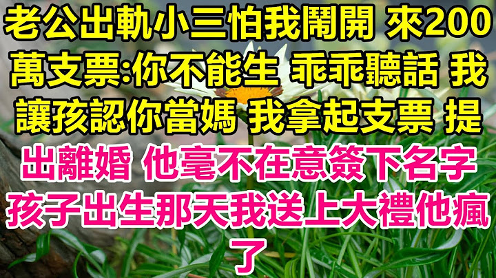 老公出轨了，为了不让我闹，他给我开了200万的支票，让我乖乖听话，并承诺让我孩子认我为妈妈。我拿着支票提出离婚，他毫不在意地签了字。孩子出生那天，我送了他一份大礼，他气疯了。