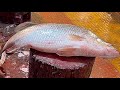 Incredible big bhetki fish cutting skills in fish market  fish cutting skills