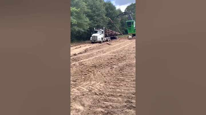Logging operation in Mississippi