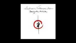 Andreas Vollenweider – Dancing With The Lion - Remastered