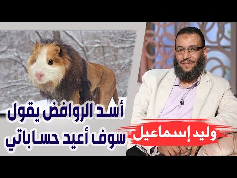 وليد إسماعيل ح 80 أسد الروافض يقول سوف أعيد حساباتي بعد هذا الحوار فهل سيترك الرفض