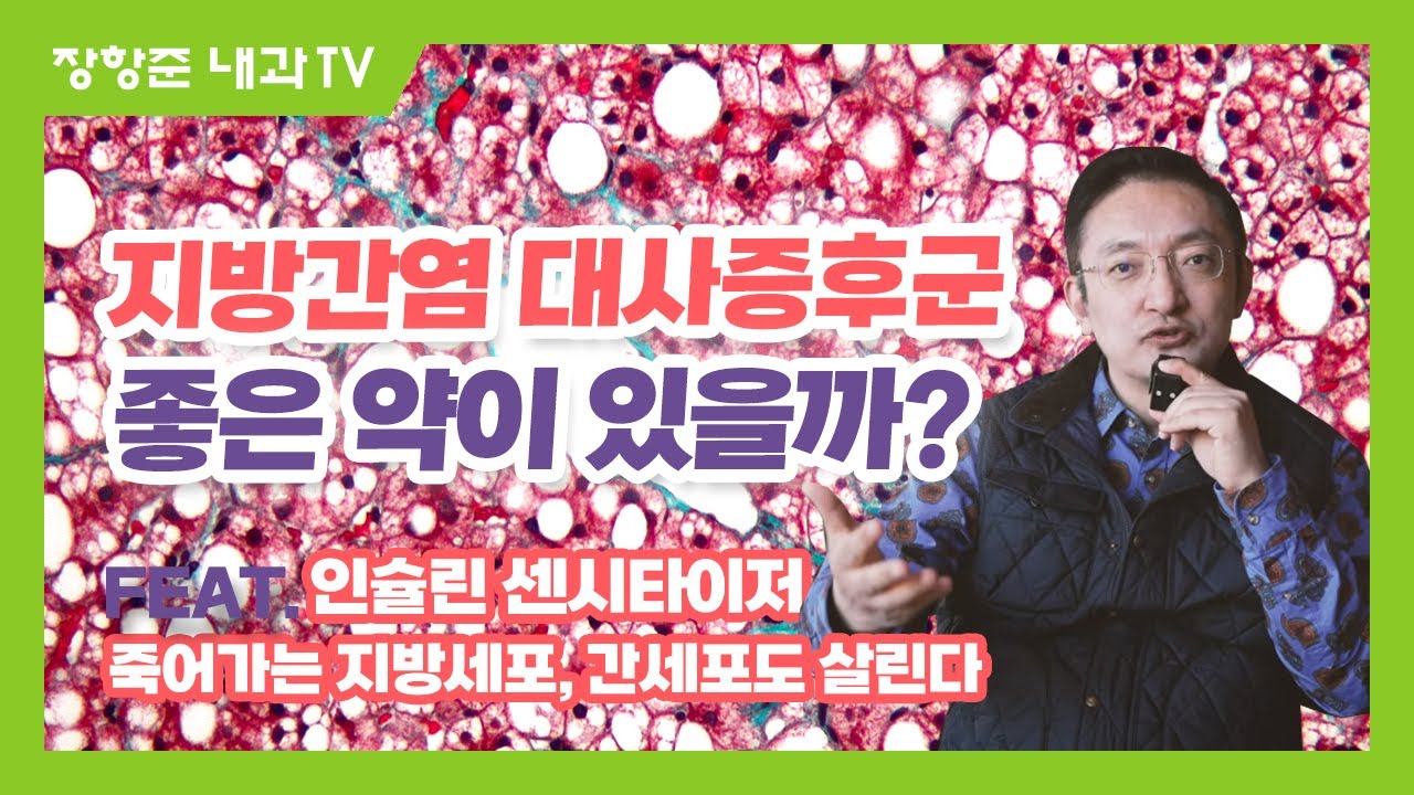 제137강: 죽어가는 지방세포를 살리는 약이 간세포도 살린다.