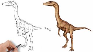 How to draw Coelophysis - Step by Step Tutorial