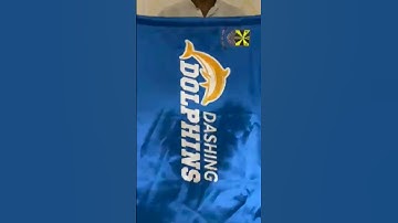 Outdoor Flags To Order 03072359502 #custom#flag#printing#logo#outdoorflag#dolphin#police #tableflag