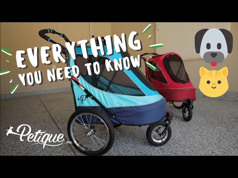 Everything You NEED to Know About Petique's All Terrain Pet Jogger