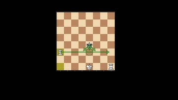 Checkmating the King with Two Rooks