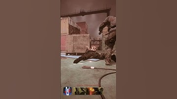 3 Players, 1,000 Bullets - MW2 FFA Chaos