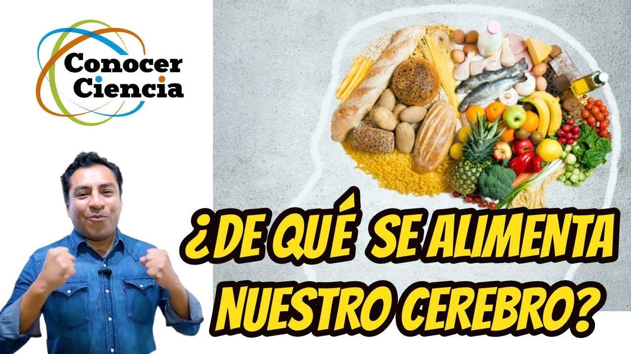 De Que Se Alimenta El Canario