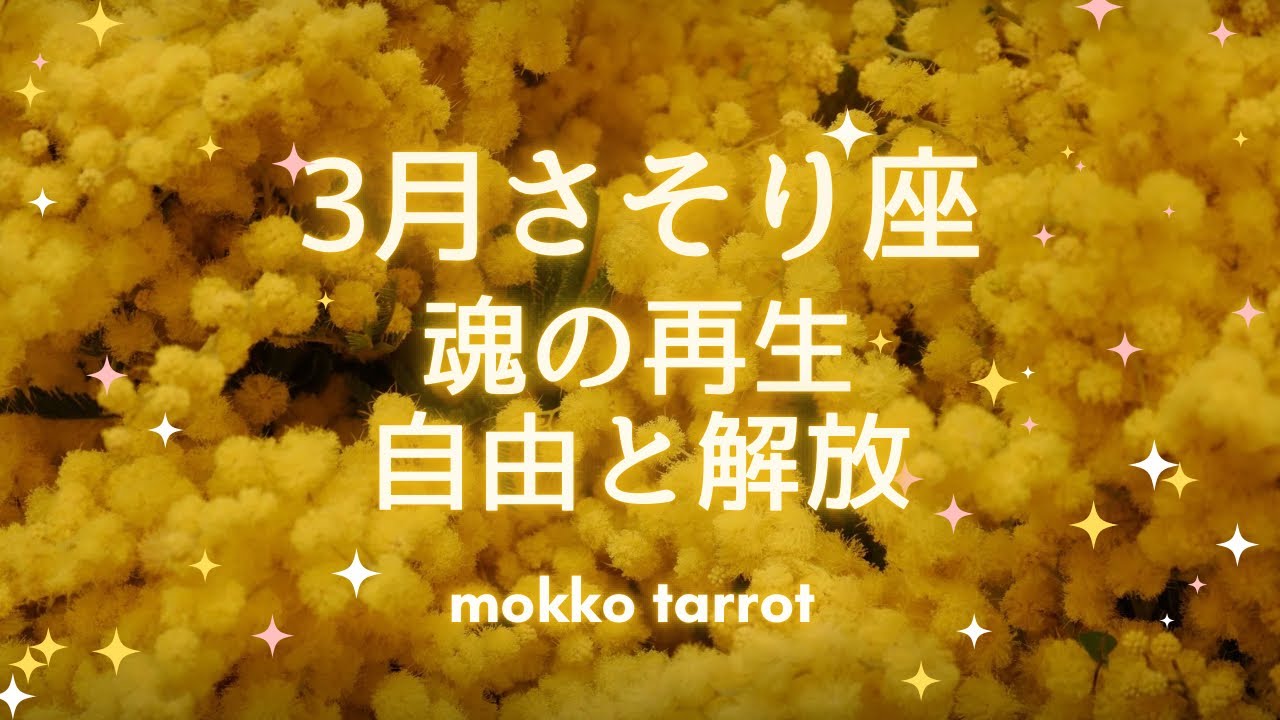 【蠍座さん2026年３月】無理しなくていい　楽を選択しよう