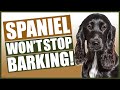 How To Stop Your SPANIEL Barking