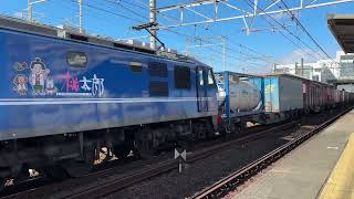 3091レ　EF64-1025+EF210-134牽引コンテナ貨物列車　枇杷島を通過！
