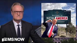Lawrence: What are Donald Trump's deranged social media posts if not evidence of insanity?