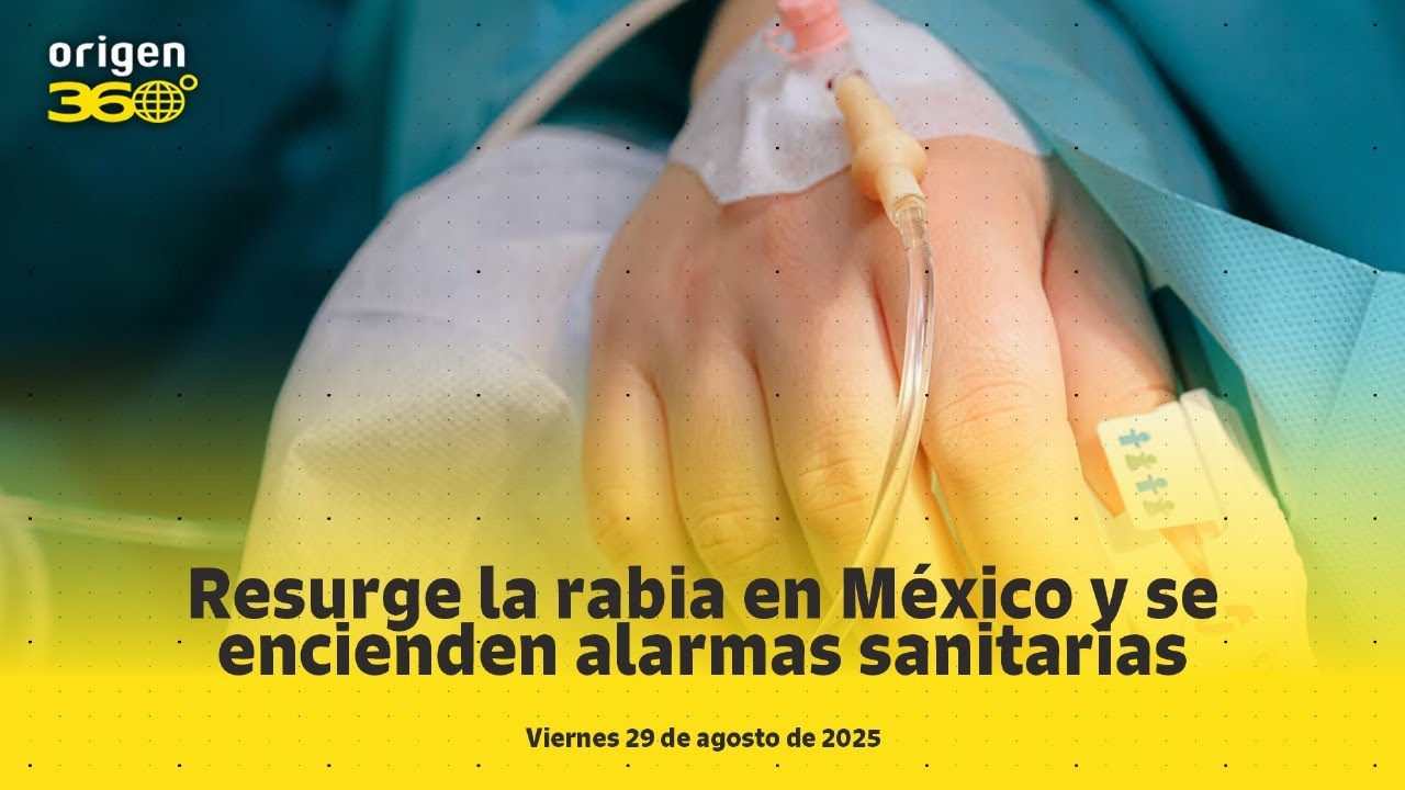 En Vivo | Resurge la rabia en México y se encienden alarmas sanitarias