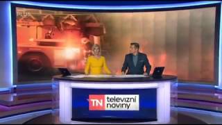 Medvěd narušil televizní noviny TV Nova