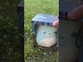 Squishmallows X Harry Potter Collab Harry Potter Patronus Squishmallow #squishmallow #squishmallows
