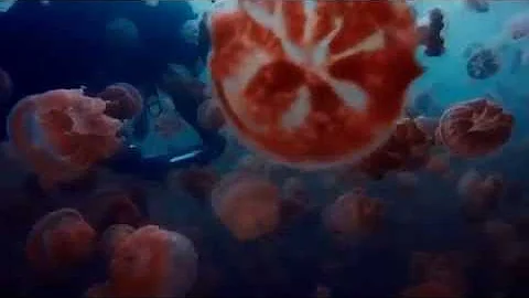 Robin Williams Apple iPad Air Commercial
